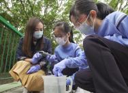 同學們充當小醫生，為林村河河水做「體質檢測」。