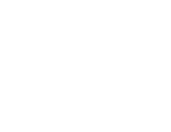 嘉年华节目内容 Details of the Carnival