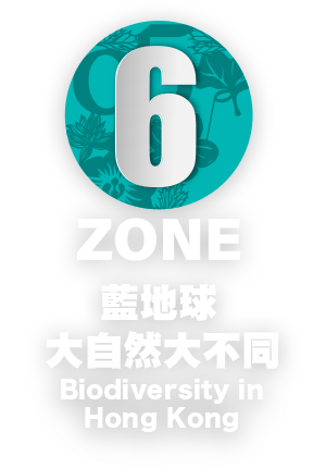 ZONE 6 - 藍地球大自然大不同